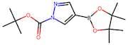 1H-Pyrazole-4-boronic acid, pinacol ester, N1-BOC protected