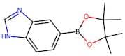1H-Benzimidazole-5-boronic acid, pinacol ester
