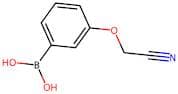 3-(Cyanomethoxy)benzeneboronic acid