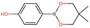 4-Hydroxybenzeneboronic acid, neopentyl glycol ester