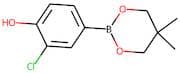 3-Chloro-4-hydroxybenzeneboronic acid, neopentyl glycol ester