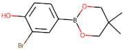 3-Bromo-4-hydroxybenzeneboronic acid, neopentyl glycol ester