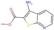 Methyl 3-aminothieno[2,3-b]pyridine-2-carboxylate