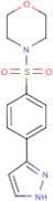 4-[4-(1H-Pyrazol-3-yl)phenyl]sulfonylmorpholine