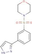 4-[3-(1H-Pyrazol-3-yl)phenyl]sulfonylmorpholine
