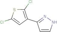 3-(2,5-Dichloro-thien-3-yl)-1H-pyrazole