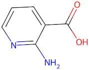 2-Aminonicotinic acid