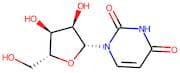 Uridine