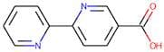 2,2'-Bipyridine-5-carboxylic acid
