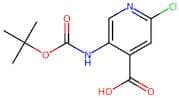 5-Amino-2-chloroisonicotinic acid, 5-BOC protected