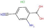 2-Amino-4-cyanobenzeneboronic acid hydrochloride