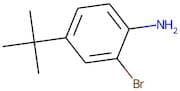 2-Bromo-4-(tert-butyl)aniline