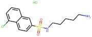 N-(5-Aminopentyl)-5-chloronaphthalene-2-sulphonamide hydrochloride