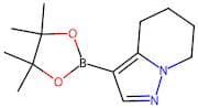 4,5,6,7-Tetrahydropyrazolo[1,5-a]pyridine-3-boronic acid, pinacol ester