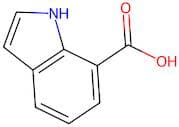 1H-Indole-7-carboxylic acid