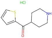 (Piperidin-4-yl)(thien-2-yl)methanone hydrochloride