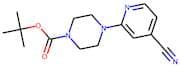 4-(4-Cyanopyridin-2-yl)piperazine, N1-BOC protected