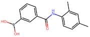 3-[(2,4-Dimethylphenyl)carbamoyl]benzeneboronic acid