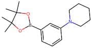 3-(Piperidin-1-yl)benzeneboronic acid, pinacol ester