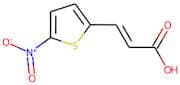 (E)-3-(5-Nitrothien-2-yl)acrylic acid