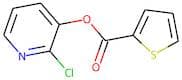 2-chloro-3-pyridyl thiophene-2-carboxylate