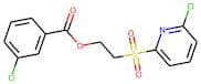 2-[(6-chloro-2-pyridyl)sulphonyl]ethyl 3-chlorobenzoate