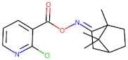 2-chloro-3-({[(1,7,7-trimethylbicyclo[2.2.1]hept-2-ylidene)amino]oxy}carbonyl)pyridine