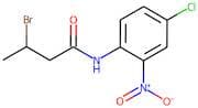 N1-(4-chloro-2-nitrophenyl)-3-bromobutanamide