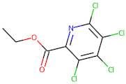 ethyl 3,4,5,6-tetrachloropyridine-2-carboxylate