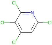 2,3,4,6-Tetrachloropyridine