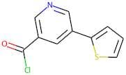 5-(Thien-2-yl)nicotinoyl chloride