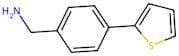 [4-(Thien-2-yl)phenyl]methylamine