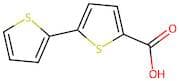 2,2'-Bithiophene-5-carboxylic acid