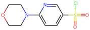 6-(Morpholin-4-yl)pyridine-3-sulphonyl chloride