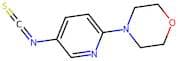 4-(5-Isothiocyanatopyridin-2-yl)morpholine