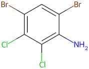 4,6-Dibromo-2,3-dichloroaniline