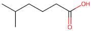 5-Methylhexanoic acid