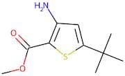 Methyl 3-amino-5-(tert-butyl)thiophene-2-carboxylate