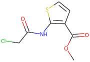 Methyl 2-[(chloroacetyl)amino]thiophene-3-carboxylate