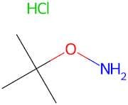 O-(tert-Butyl)hydroxylamine hydrochloride