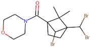 [6-bromo-4-(dibromomethyl)-5,5-dimethylbicyclo[2.1.1]hex-1-yl](morpholino)methanone