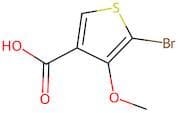 5-Bromo-4-methoxythiophene-3-carboxylic acid