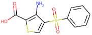 3-Amino-4-(phenylsulphonyl)thiophene-2-carboxylic acid