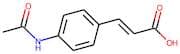 trans-4-(Acetylamino)cinnamic acid