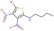 N2-butyl-5-bromo-3,4-dinitrothiophen-2-amine