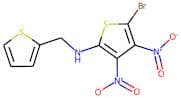 N2-(2-thienylmethyl)-5-bromo-3,4-dinitrothiophen-2-amine