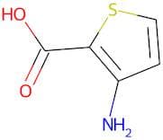 3-Aminothiophene-2-carboxylic acid