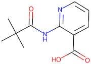 2-[(2,2-dimethylpropanoyl)amino]nicotinic acid
