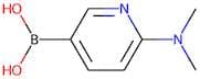 2-(Dimethylamino)pyridine-5-boronic acid