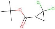tert-Butyl 2,2-dichlorocyclopropane-1-carboxylate